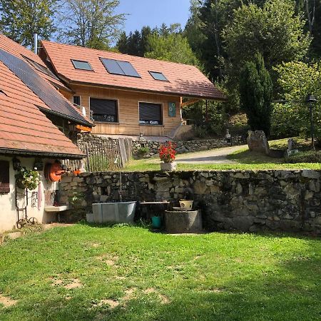 La Maison De Jean Les Adrets Exterior photo